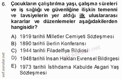 6. soru: Çocukların çalıştırılma yaşı, çalışma süreleri ve iş sağlığı ve güvenliğine ilişkin temenni ve tavsiyelerin yer aldığ…