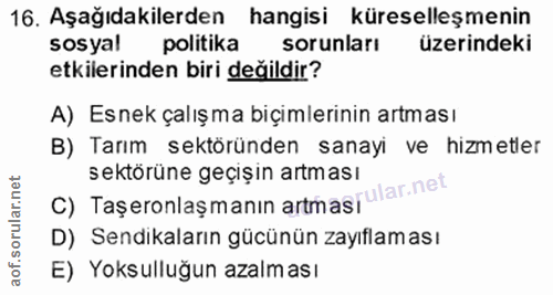 16. soru: Aşağıdakilerden hangisi küreselleşmenin sosyal politika sorunları üzerindeki etkilerinden biri değildir? A) Esnek çal…