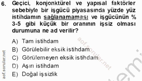 6. soru: Geçici, konjonktürel ve yapısal faktörler sebebiyle bir işgücü piyasasında yüzde yüz istihdamın sağlanamaması ve işgü…
