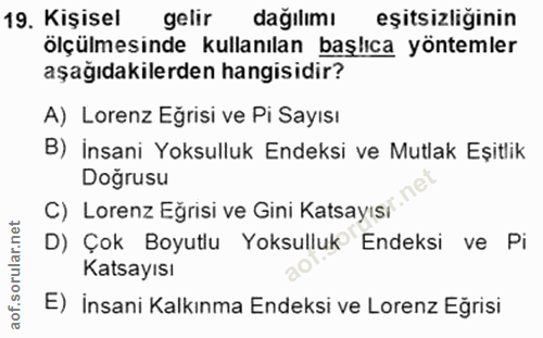 19. soru: Kişisel gelir dağılımı eşitsizliginin ölçülmesinde kullanılan başlıca yöntemler aşağıdakilerden hangisidir? A) Lorenz…
