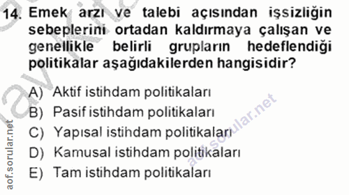 14. soru: Emek arzı ve talebi açısından işsizliğin sebeplerini ortadan kaldırmaya çalışan ve genellikle belirli grupların hedef…