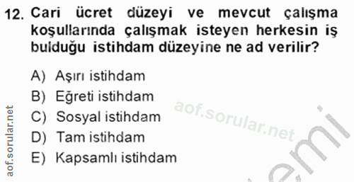 12. soru: Cari ücret düzeyi ve mevcut çalışma koşullarında çalışmak isteyen herkesin iş bulduğu istihdam düzeyine ne ad verilir…