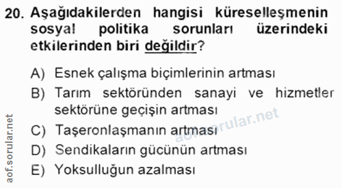 20. soru: Aşağıdakilerden hangisi küreselleşmenin sosyal politika sorunları üzerindeki etkilerinden biri değildir? A) Esnek çal…