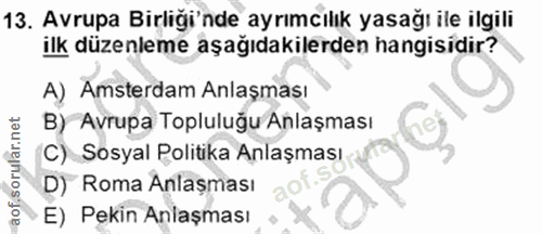 13. soru: Avrupa Birliği'nde ayrımcılık yasağı ile ilgili ilk düzenleme aşağıdakilerden hangisidir? A) Amsterdam Anlaşması B) A…