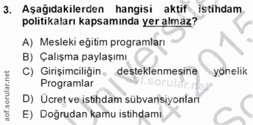 3. soru: Aşağıdakilerden hangisi aktif istihdam politikaları kapsamında yer almaz? A) Mesleki eğitim programları B) Çalışma pa…