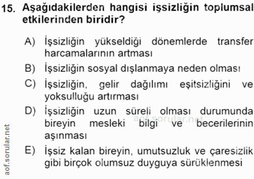 15. soru: Aşağıdakilerden hangisi işsizliğin toplumsal etkilerinden biridir? A) İşsizliğin yükseldiği dönemlerde transfer harca…
