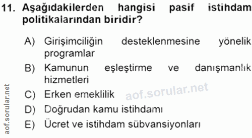 11. soru: Aşağıdakilerden hangisi pasif istihdam politikalarından biridir? A) Girişimciliğin desteklenmesine yönelik programlar…