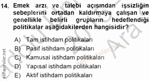 14. soru: Emek arzı, ve talebi açısından işsizliğin sebeplerini ortadan kaldırmaya çalışan ve genellikle belirli grupların hede…