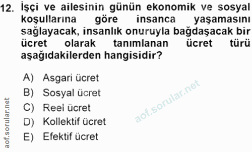 12. soru: İşçi ve ailesinin günün ekonomik ve sosyal koşullarına göre insanca yaşamasını sağlayacak, insanlık onuruyla bağdaşac…