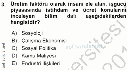 3. soru: Üretim faktörü olarak insanı ele alan, işgücü piyasasında istihdam ve ücret konularını inceleyen bilim dalı aşağıdaki…
