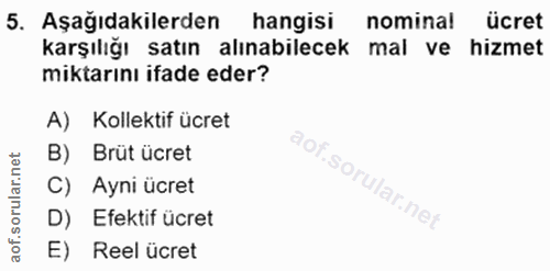 5. soru: Aşağıdakilerden hangisi nomina! ücret karşılığı satın alınabilecek mal ve hizmet miktarını ifade eder? A) Kollektif ü…