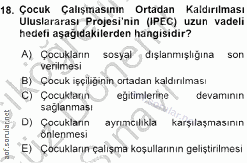 18. soru: Çocuk Çalışmasının Ortadan Kaldırılması Uluslararası Projesi'nin (IPEC) uzun vadeli hedefi aşağıdakilerden hangisidir…