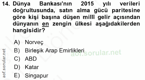 14. soru: Dünya Bankası'nın 2015 yılı verileri doğrultusunda, satın alma gücü paritesine göre kişi başına düşen millî gelir açı…