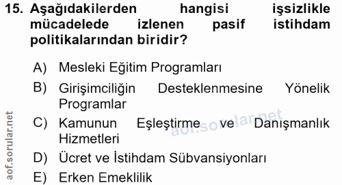 15. soru: Aşağıdakilerden hangisi işsizlikle mücadelede izlenen pasif istihdam politikalarından biridir? A) Mesleki Eğitim Prog…