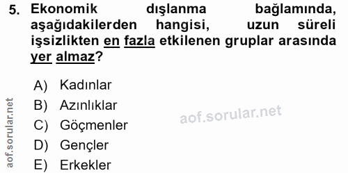 5. soru: Ekonomik dışlanma bağlamında, aşağıdakilerden hangisi, uzun süreli işsizlikten en fazla etkilenen gruplar arasında ye…