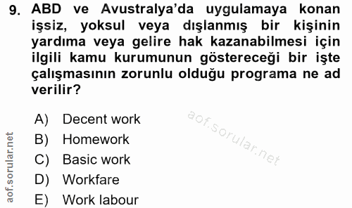 9. soru: ABD ve Avustralya'da uygulamaya konan işsiz, yoksul veya dışlanmış bir kişinin yardıma veya gelire hak kazanabilmesi…