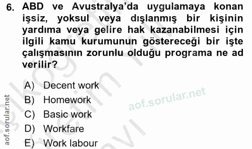 6. soru: ABD ve Avustralya'da uygulamaya konan işsiz, yoksul veya dışlanmış bir kişinin yardıma veya gelire hak kazanabilmesi…