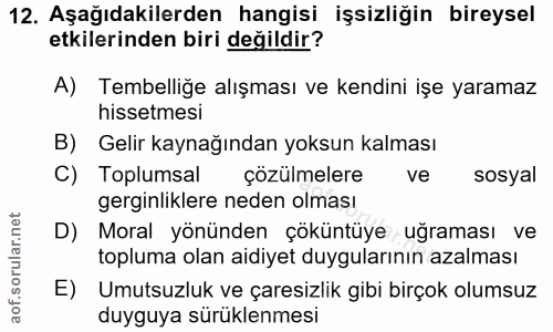 12. soru: Aşağıdakilerden hangisi işsizliğin bireysel etkilerinden biri değildir? A) Tembelliğe alışması ve kendini işe yaramaz…