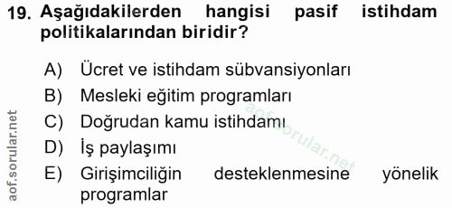 19. soru: Aşağıdakilerden hangisi pasif istihdam politikalarından biridir? A) Ücret ve istihdam sübvansiyonları B) Mesleki egit…