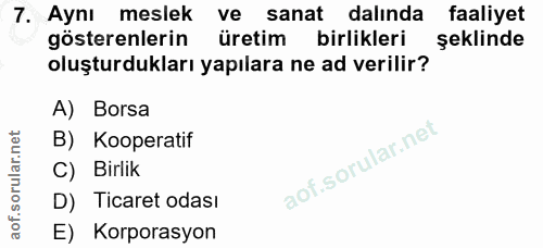 7. soru: Aynı meslek ve sanat dalında faaliyet gösterenlerin üretim birlikleri şeklinde oluşturdukları yapılara ne ad verilir?…
