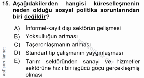 15. soru: Aşağıdakilerden hangisi küreselleşmenin neden olduğu sosyal politika sorunlarından biri değildir? A) Informel-kayıt d…
