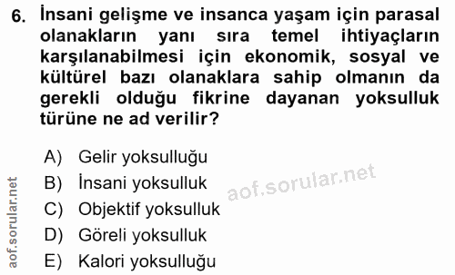 6. soru: Insani gelişme ve insanca yaşam için parasal olanakların yanı sıra temel ihtiyaçların karşılanabilmesi için ekonomik,…