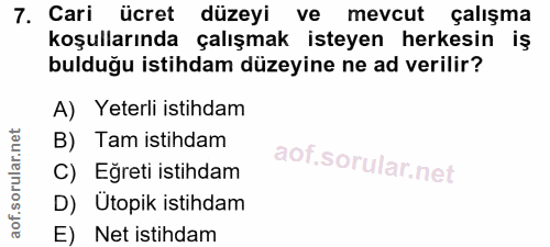 7. soru: Cari ücret düzeyi ve mevcut çalışma koşullarında çalışmak isteyen herkesin iş bulduğu istihdam düzeyine ne ad verilir…