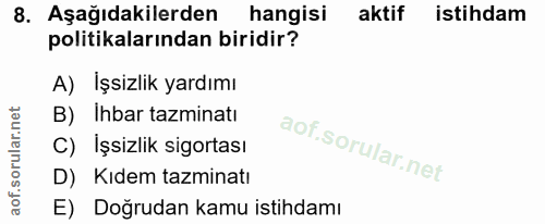 8. soru: Aşağıdakilerden hangisi aktif istihdam politikalarından biridir? A) Işsizlik yardımı B) Ihbar tazminatı C) İşsizlik s…