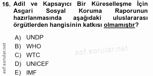16. soru: Adil ve Kapsayıcı Bir Küreselleşme İçin Asgari Sosyal Koruma Raporunun hazırlanmasında aşağıdaki uluslararası örgütle…