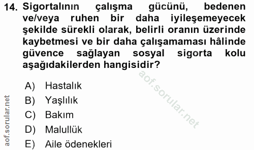 14. soru: Sigortalının çalışma gücünü, bedenen ve/veya ruhen bir daha iyileşemeyecek şekilde sürekli olarak, belirli oranın üze…