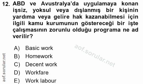 12. soru: ABD ve Avustralya'da uygulamaya konan işsiz, yoksul veya dışlanmış bir kişinin yardıma veya gelire hak kazanabilmesi…