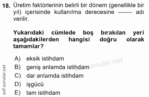 18. soru: Üretim faktörlerinin belirli bir dönem (genellikle bir yıl) içerisinde kullanılma derecesine -- adı verilir. Yukarıda…