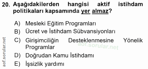 20. soru: Aşağıdakilerden hangisi aktif istihdam politikaları kapsamında yer almaz? A) Mesleki Eğitim Programları B) Ucret ve I…