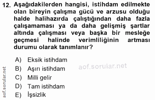 12. soru: Aşağıdakilerden hangisi, istihdam edilmekte olan bireyin çalışma gücü ve arzusu olduğu halde halihazırda çalıştığında…