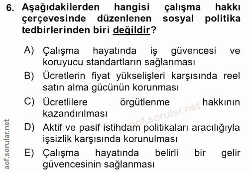 6. soru: Aşağıdakilerden hangisi çalışma hakkı çerçevesinde düzenlenen sosyal politika tedbirlerinden biri değildir? A) Çalışm…