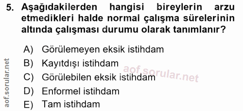 5. soru: Aşağıdakilerden hangisi bireylerin arzu etmedikleri halde normal çalışma sürelerinin altında çalışması durumu olarak…