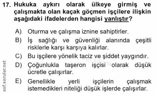 17. soru: Hukuka aykırı olarak ülkeye girmiş ve çalışmakta olan kaçak göçmen işçilere ilişkin aşağıdaki ifadelerden hangisi yan…