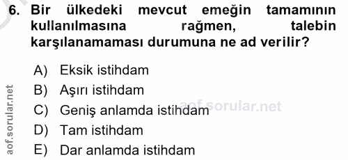6. soru: Bir ülkedeki mevcut emeğin tamamının kullanılmasına ragmen, talebin karşılanamaması durumuna ne ad verilir? A) Eksik…
