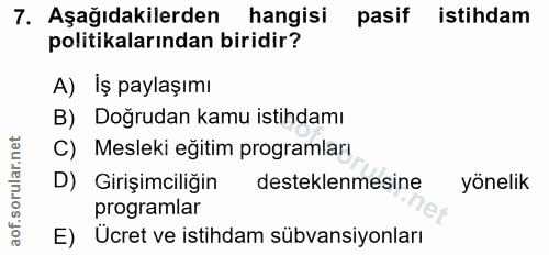 7. soru: Aşağıdakilerden hangisi pasif istihdam politikalarından biridir? A) İş paylaşımı B) Doğrudan kamu istihdamı C) Meslek…