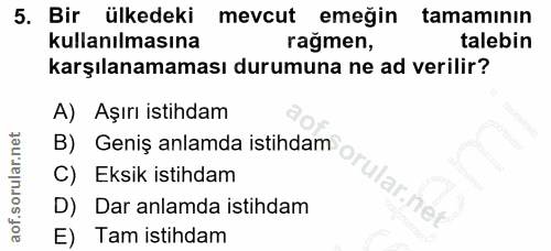 5. soru: Bir ülkedeki mevcut emeğin tamamının kullanılmasına ragmen, talebin karşılanamaması durumuna ne ad verilir? A) Aşırı…