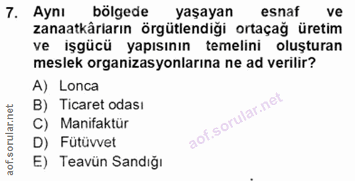 7. soru: Aynı bölgede yaşayan esnaf ve zanaatkârların örgütlendiği ortaçağ üretim ve işgücü yapısının temelini oluşturan mesle…