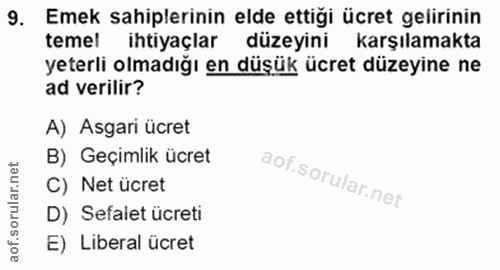 9. soru: Emek sahiplerinin elde ettiği ücret gelirinin temel ihtiyaçlar düzeyini karşılamakta yeterli olmadığı en düşük ücret…