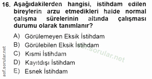 16. soru: Aşağıdakilerden hangisi, istihdam edilen bireylerin arzu etmedikleri halde normal çalışma sürelerinin altında çalışma…