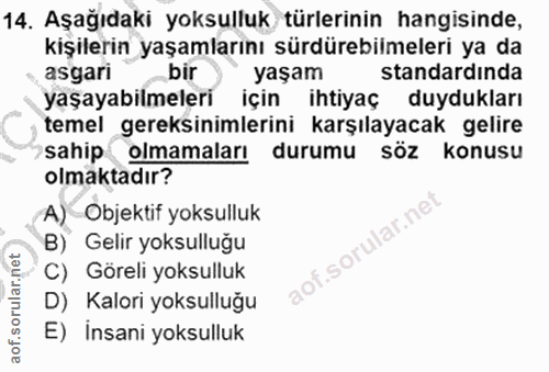 14. soru: Aşağıdaki yoksulluk türlerinin hangisinde, kişilerin yaşamlarını sürdürebilmeleri ya da asgari _bir yaşam standardınd…
