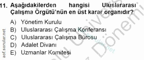 11. soru: Aşağıdakilerden hangisi Uluslararasi* Çalışma Örgütü'nün en üst karar organıdır? A) Yönetim Kurulu B) Uluslararası Ça…