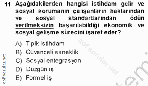 11. soru: Aşağıdakilerden hangisi istihdam gelir ve sosyal korumanın çalışanların haklarından Ve sosyal standartlarından ödün v…