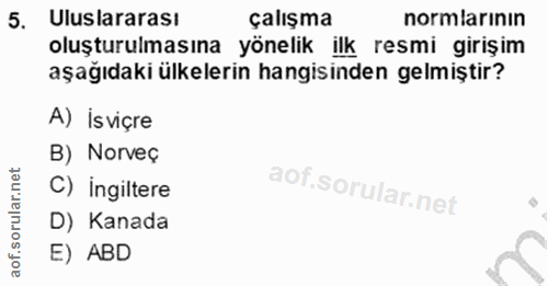 5. soru: Uluslararası çalışma normlarının oluşturulmasına yönelik ilk resmi girişim aşağıdaki ülkelerin hangisinden gelmiştir?…