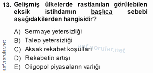 13. soru: Gelişmiş ülkelerde rastlanılan görülebilen eksik istihdamın başlıca sebebi aşağıdakilerden hangisidir? A) Sermaye yet…
