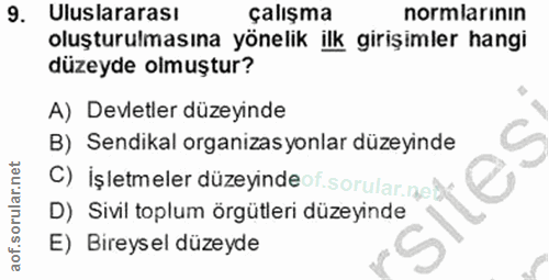 9. soru: Uluslararası çalışma normlarının oluşturulmasına yönelik ilk girişimler hangi düzeyde olmuştur? A) Devletler düzeyind…