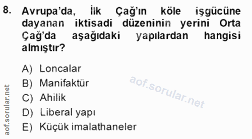 8. soru: Avrupa'da, ilk Çağ'ın köle işgücüne dayanan iktısadı düzeninin yerini Orta Çağ'da aşağıdaki yapılardan hangisi almışt…